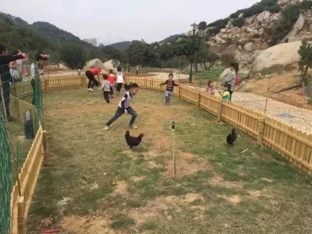 漳州市童游灣方圃農(nóng)莊