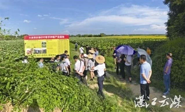 佛山幫扶湛江163條貧困村！已投入資金16.36億元推進鄉(xiāng)村振興