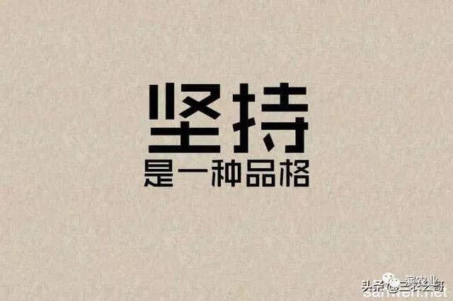 三農(nóng)自媒體營銷，內(nèi)容擴散，裂變更重要