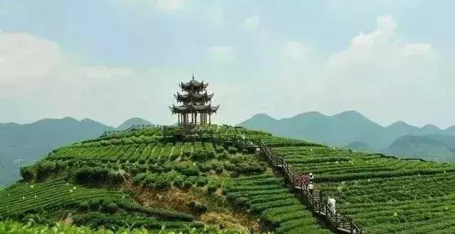 鄉(xiāng)村旅游開(kāi)發(fā):休閑農(nóng)莊與農(nóng)家樂(lè)的10個(gè)失敗之母！