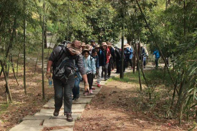 探秘大自然昆蟲家族：自然教育課堂之昆蟲研學(xué)旅行課程|探秘大自然昆蟲家族：自然教育課堂之昆蟲研學(xué)旅行課程