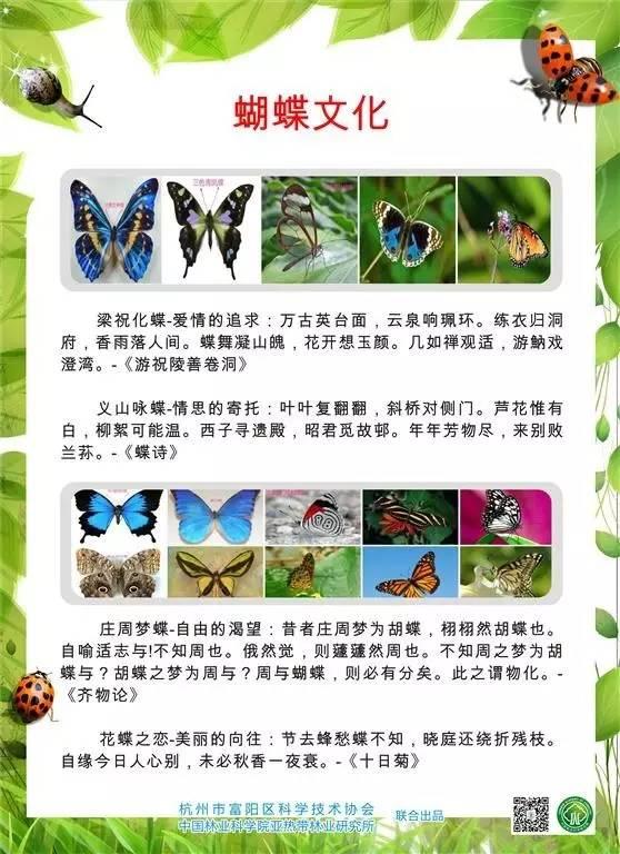 科普圖展 | 奇妙的昆蟲世界（原創(chuàng)）