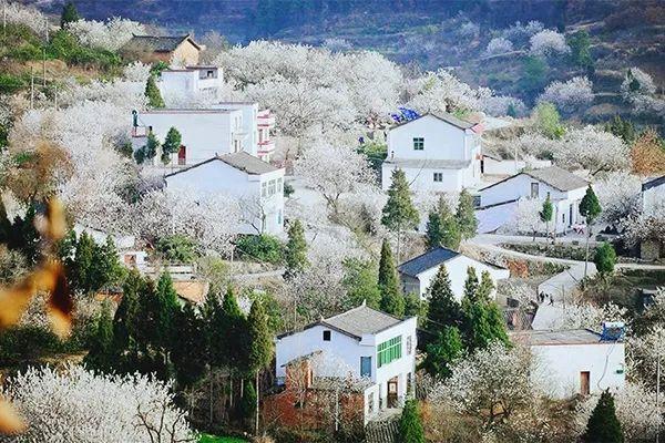 “農(nóng)業(yè)地產(chǎn)”將會成為下一個熱門行業(yè)？