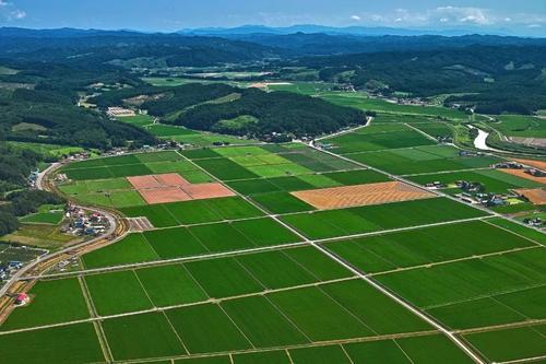 鼓勵(lì)農(nóng)村盤活利用閑置宅基地!土地管理法修正案“牽一發(fā)動(dòng)全身”
