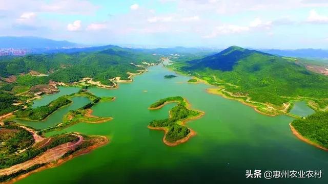 醉美仲愷:生態(tài)與智慧并重的未來