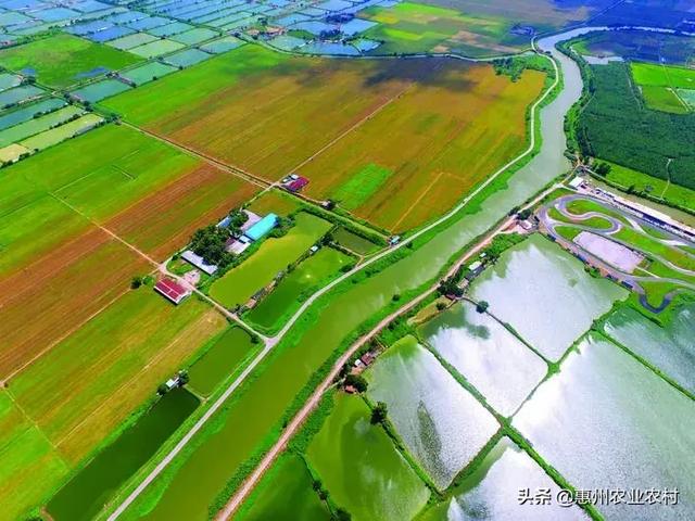 醉美仲愷:生態(tài)與智慧并重的未來