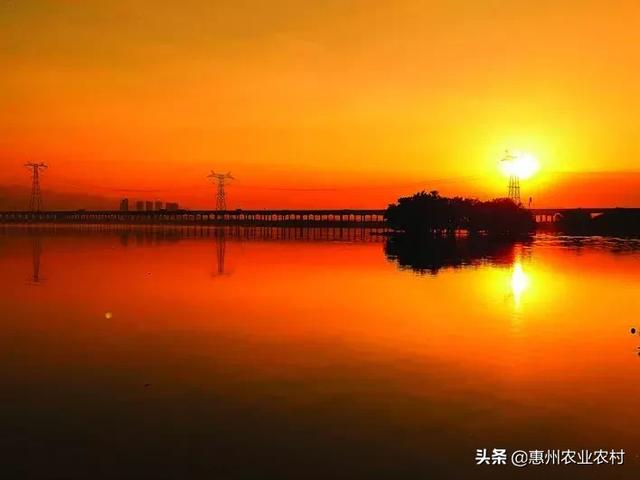 醉美仲愷:生態(tài)與智慧并重的未來