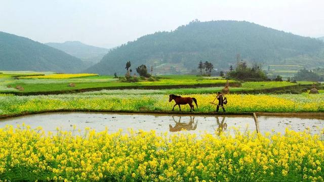 “平地建廠，荒山造田”：占補(bǔ)平衡下的耕地危機(jī)