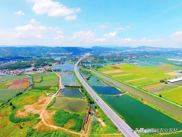 醉美仲愷:生態(tài)與智慧并重的未來