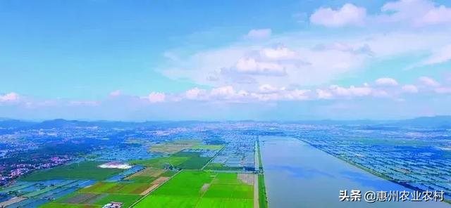 醉美仲愷:生態(tài)與智慧并重的未來