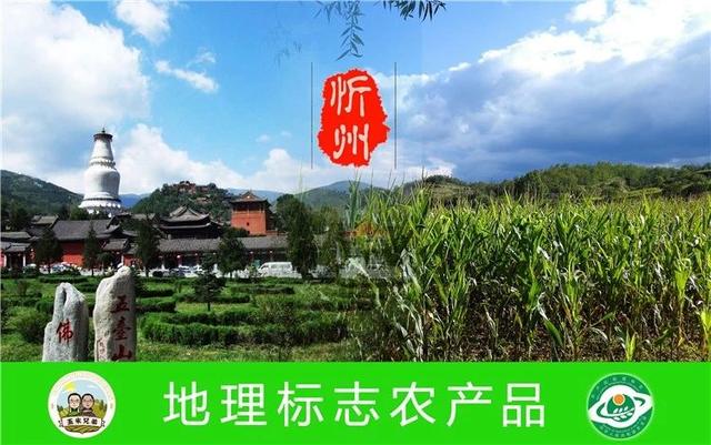 看2個農(nóng)民如何打造網(wǎng)紅級農(nóng)產(chǎn)品品牌？附3大實(shí)招