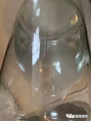 用獼猴桃自制果酒，香味四溢，簡單好喝還省錢