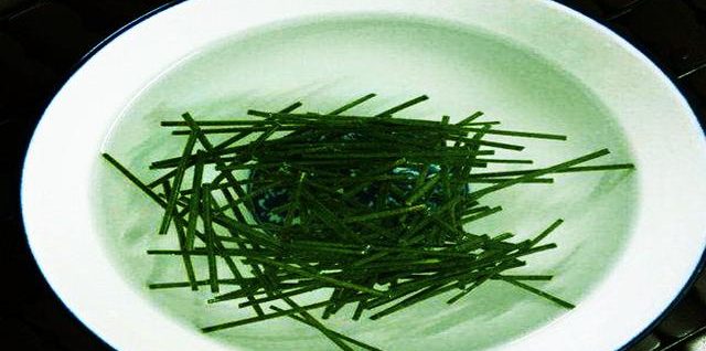 松針清呼吸防感染增免疫強肺