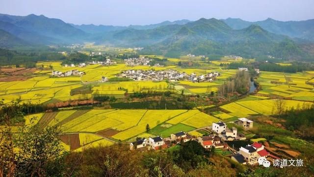 這九大鄉(xiāng)村產(chǎn)業(yè)將迎來(lái)發(fā)展機(jī)遇？