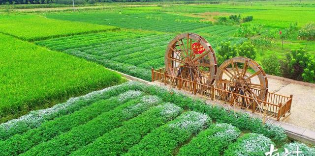 廣東將建農(nóng)業(yè)自貿(mào)區(qū)！這些新動作值得關(guān)注｜經(jīng)濟粵評