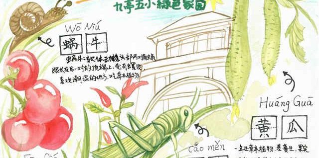 五谷不分四體不勤？NO！這些小學(xué)生不但會種，還會畫