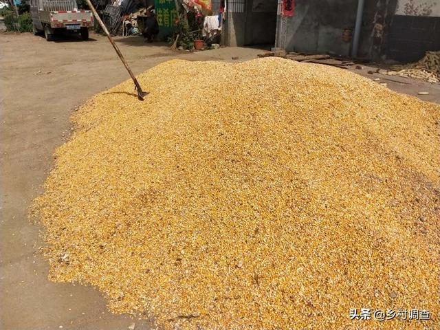 農(nóng)業(yè)出現(xiàn)新的變化，將影響數(shù)億農(nóng)民的收入，這幾點急需做出改變