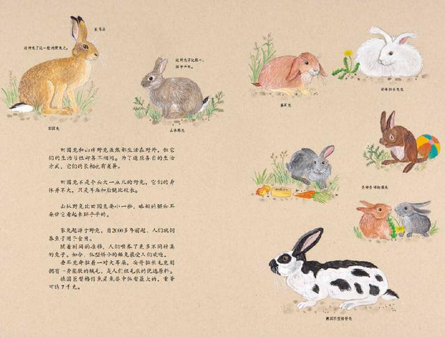 兔子節(jié)與養(yǎng)雞場(chǎng):帶著孩子一起在農(nóng)場(chǎng)體驗(yàn)探索與發(fā)現(xiàn)的樂(lè)趣 兔子節(jié)與養(yǎng)雞場(chǎng):帶著孩子一起在農(nóng)場(chǎng)體驗(yàn)探索與發(fā)現(xiàn)的樂(lè)趣