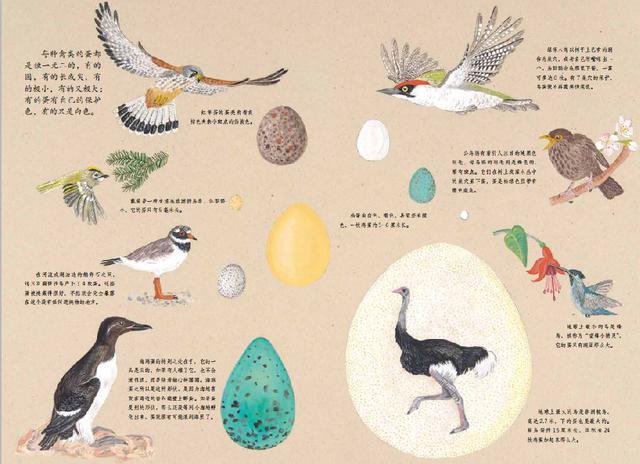 兔子節(jié)與養(yǎng)雞場(chǎng):帶著孩子一起在農(nóng)場(chǎng)體驗(yàn)探索與發(fā)現(xiàn)的樂(lè)趣 兔子節(jié)與養(yǎng)雞場(chǎng):帶著孩子一起在農(nóng)場(chǎng)體驗(yàn)探索與發(fā)現(xiàn)的樂(lè)趣