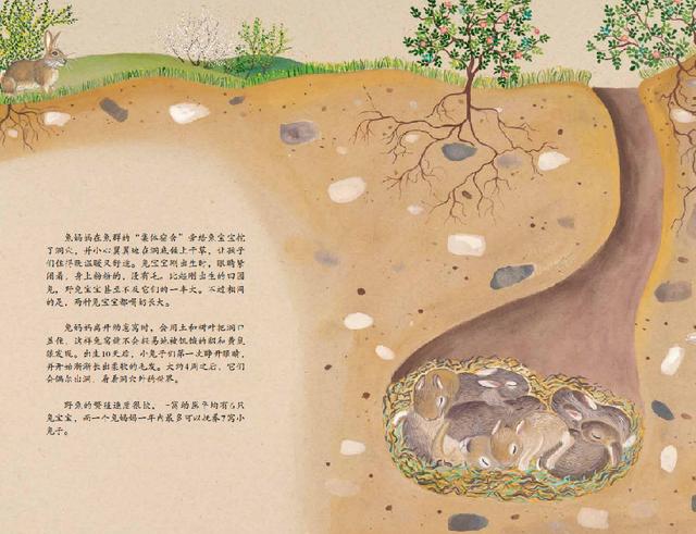 兔子節(jié)與養(yǎng)雞場(chǎng):帶著孩子一起在農(nóng)場(chǎng)體驗(yàn)探索與發(fā)現(xiàn)的樂(lè)趣 兔子節(jié)與養(yǎng)雞場(chǎng):帶著孩子一起在農(nóng)場(chǎng)體驗(yàn)探索與發(fā)現(xiàn)的樂(lè)趣