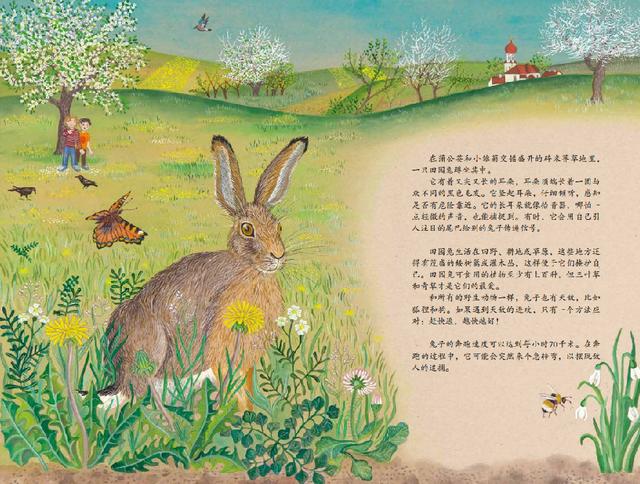 兔子節(jié)與養(yǎng)雞場(chǎng):帶著孩子一起在農(nóng)場(chǎng)體驗(yàn)探索與發(fā)現(xiàn)的樂(lè)趣 兔子節(jié)與養(yǎng)雞場(chǎng):帶著孩子一起在農(nóng)場(chǎng)體驗(yàn)探索與發(fā)現(xiàn)的樂(lè)趣