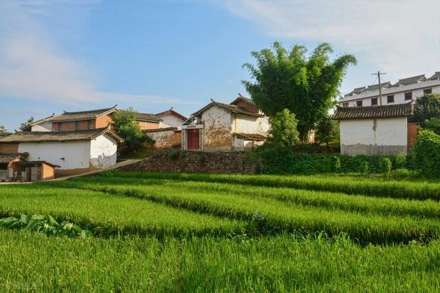 諾貝爾經(jīng)濟(jì)學(xué)獎(jiǎng)得主：在新冠病毒很長(zhǎng)期伴隨下，國(guó)家應(yīng)優(yōu)先采取哪些經(jīng)濟(jì)措施？