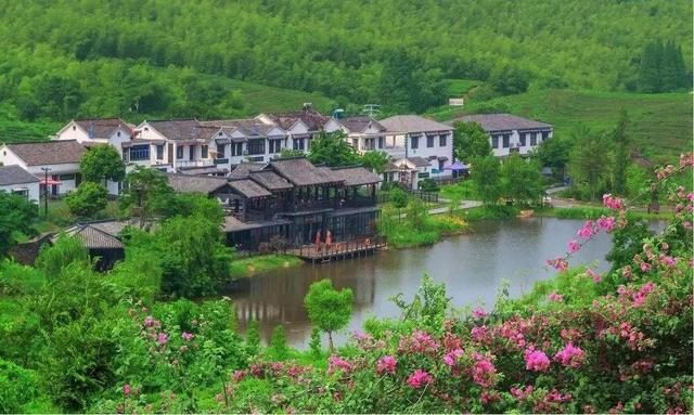 森林旅游市場迎來旺季，近5年森林旅游游客量翻番