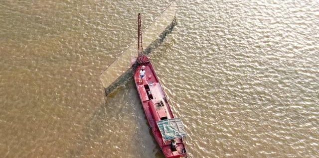 起底長(zhǎng)江流域電魚(yú)黑色產(chǎn)業(yè)鏈
