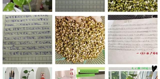 快樂(lè)勞動(dòng) 助力成長(zhǎng)——九江市長(zhǎng)虹小學(xué)開(kāi)展勞動(dòng)教育暑期實(shí)踐活動(dòng)