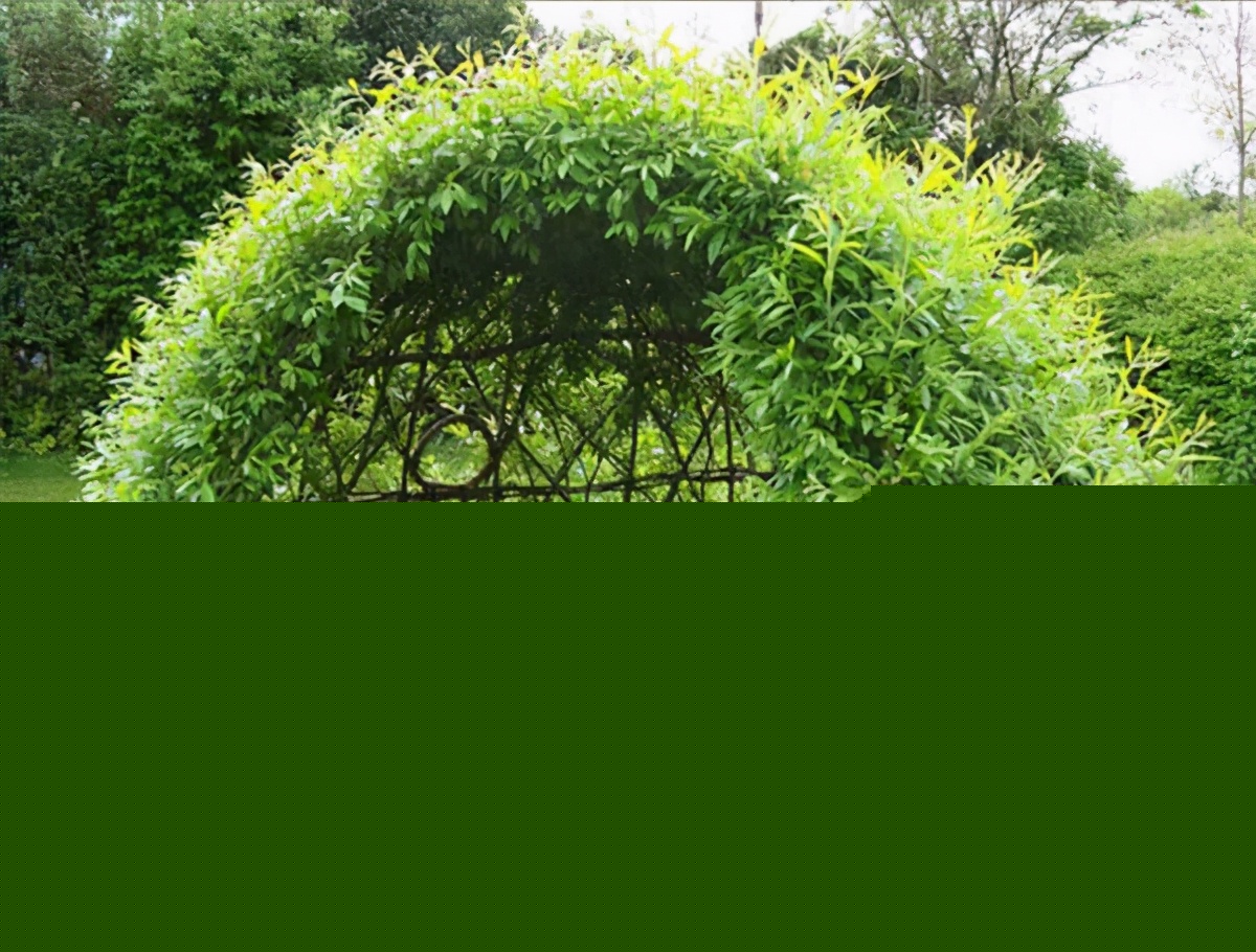 這12個(gè)創(chuàng)意造型景觀設(shè)計(jì)，不止生機(jī)盎然，更是功能多樣
