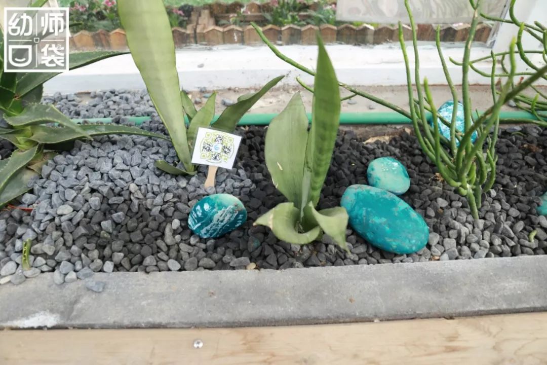 介紹一所幼兒園的自然教育與勞動(dòng)課程，家長(zhǎng)和孩子們超喜愛