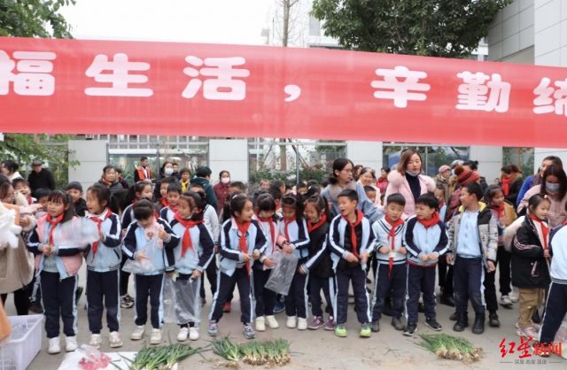 教育部激勵師范生到農(nóng)村中小學(xué)任教，寧夏投入12億余元改造農(nóng)村中小學(xué)“土操場”