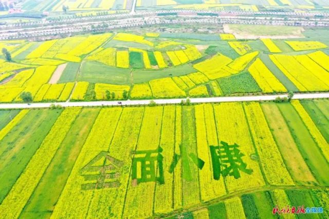 種糧補貼誰能領？2021年種糧農(nóng)民可以申請哪些補貼？