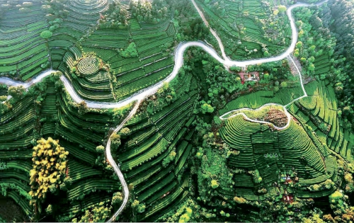 美麗鄉(xiāng)村建設(shè)有什么好經(jīng)驗？看看杭州市的經(jīng)驗總結(jié)