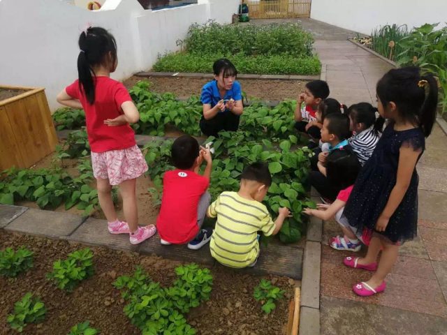教育部激勵師范生到農(nóng)村中小學(xué)任教，寧夏投入12億余元改造農(nóng)村中小學(xué)“土操場”