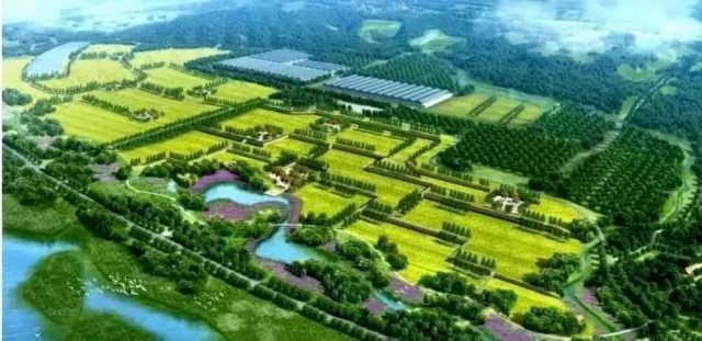 農(nóng)業(yè)項(xiàng)目建議書(shū)編制服務(wù)
