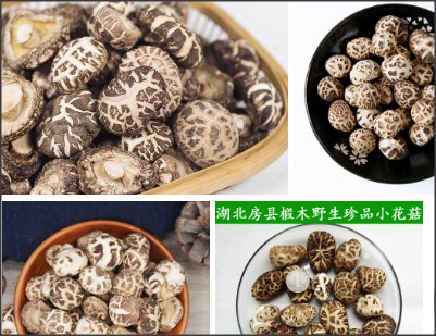 中歐地理標(biāo)志協(xié)定生效！湖北入選13件，5個產(chǎn)品納入互認(rèn)清單