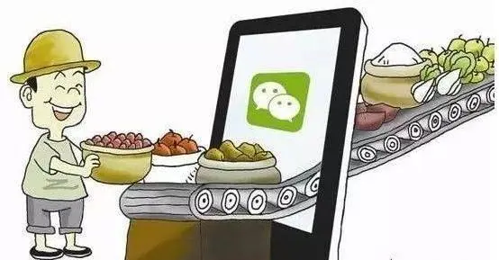 碧桂園的農(nóng)業(yè)實踐：從種業(yè)起步，打造現(xiàn)代農(nóng)業(yè)系統(tǒng)方案提供者和服務商