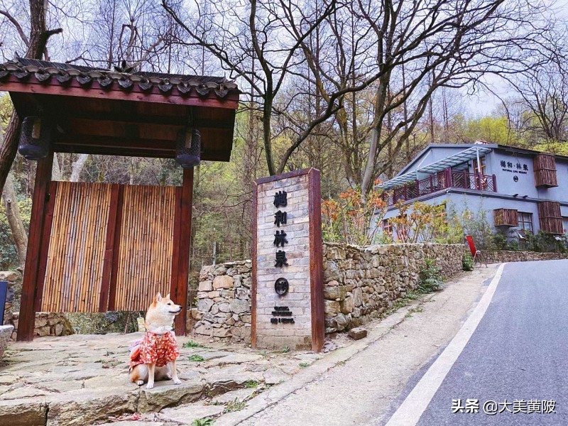 木蘭湖畔，山水環(huán)抱，黃陂這里的鄉(xiāng)村民宿成為“人氣王”