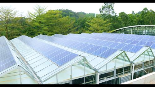 光伏發(fā)電,生物育種,無土栽培……東莞市農(nóng)業(yè)科普展示溫室建成開幕