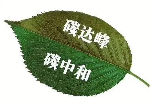 廣西林業(yè)碳計(jì)量研究中心揭牌，浙江發(fā)放首批2951畝林地碳匯權(quán)證