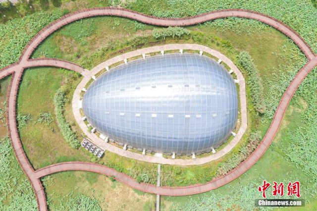 中國(guó)農(nóng)業(yè)科學(xué)院：11個(gè)研究所組建農(nóng)業(yè)農(nóng)村碳達(dá)峰碳中和研究中心