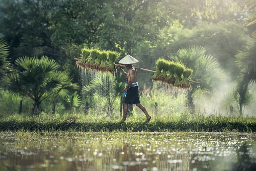 種了200畝蔬菜，沒想到有這么多農(nóng)業(yè)補貼