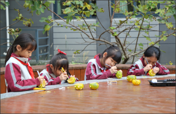 農(nóng)場(chǎng),果園,花園,小廚,集市...上海這所小學(xué)的特色勞動(dòng)實(shí)踐園地收獲滿滿！