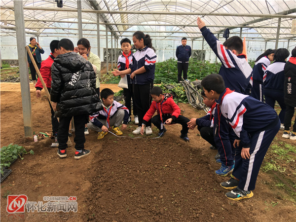 廣元市：構(gòu)建勞動(dòng)教育新模式新課堂，譜寫(xiě)勞動(dòng)教育新篇章