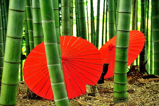 國家發(fā)改委：大力推動低碳零碳負(fù)碳項目與綠色產(chǎn)業(yè)示范基地建設(shè)